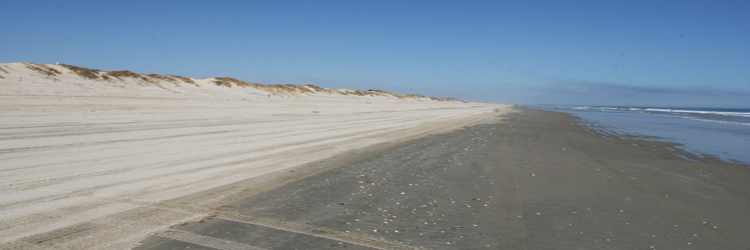 Tide Chart Carova Nc